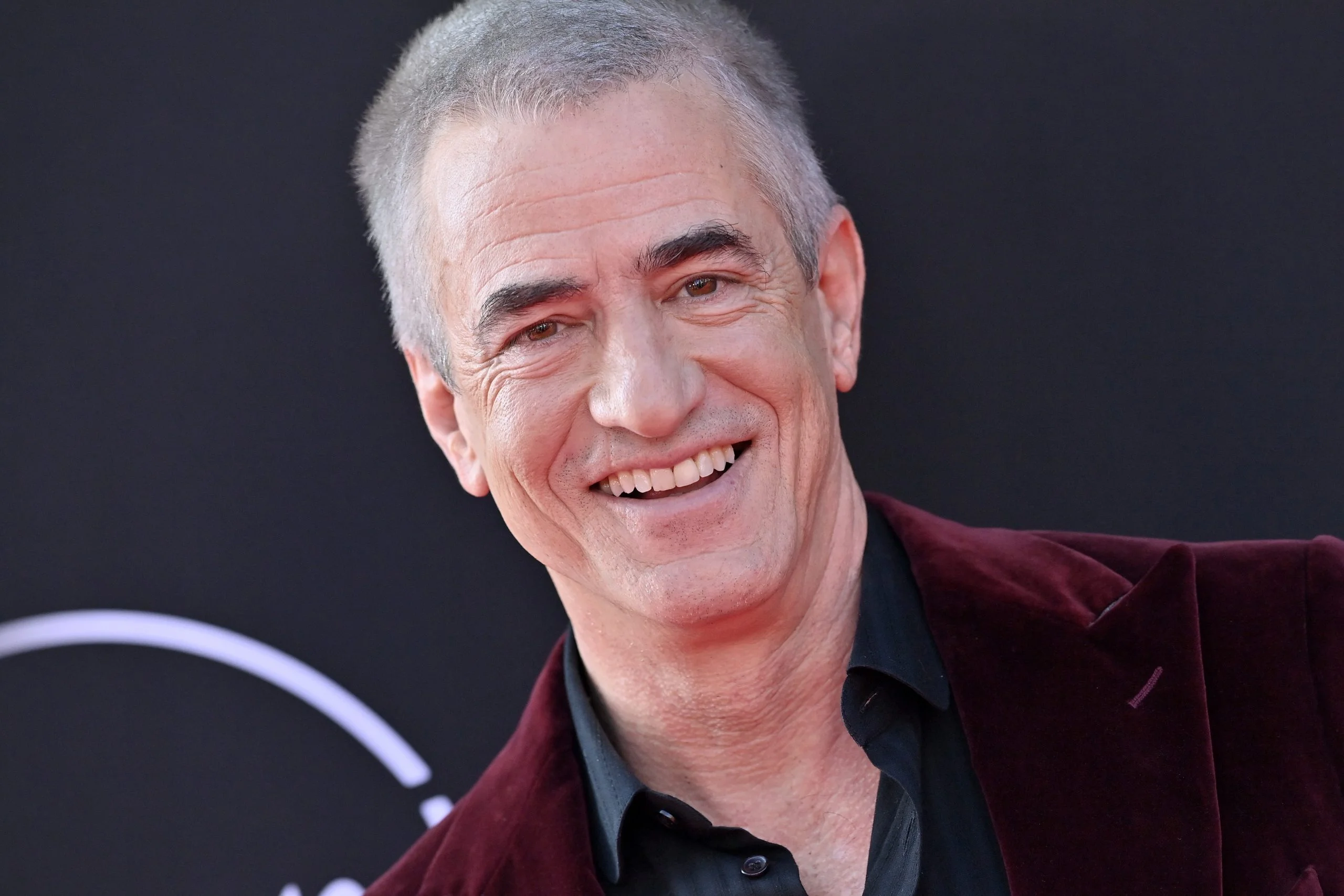 Dermot Mulroney