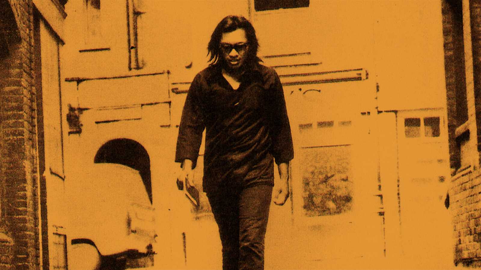 Searching for sugar man